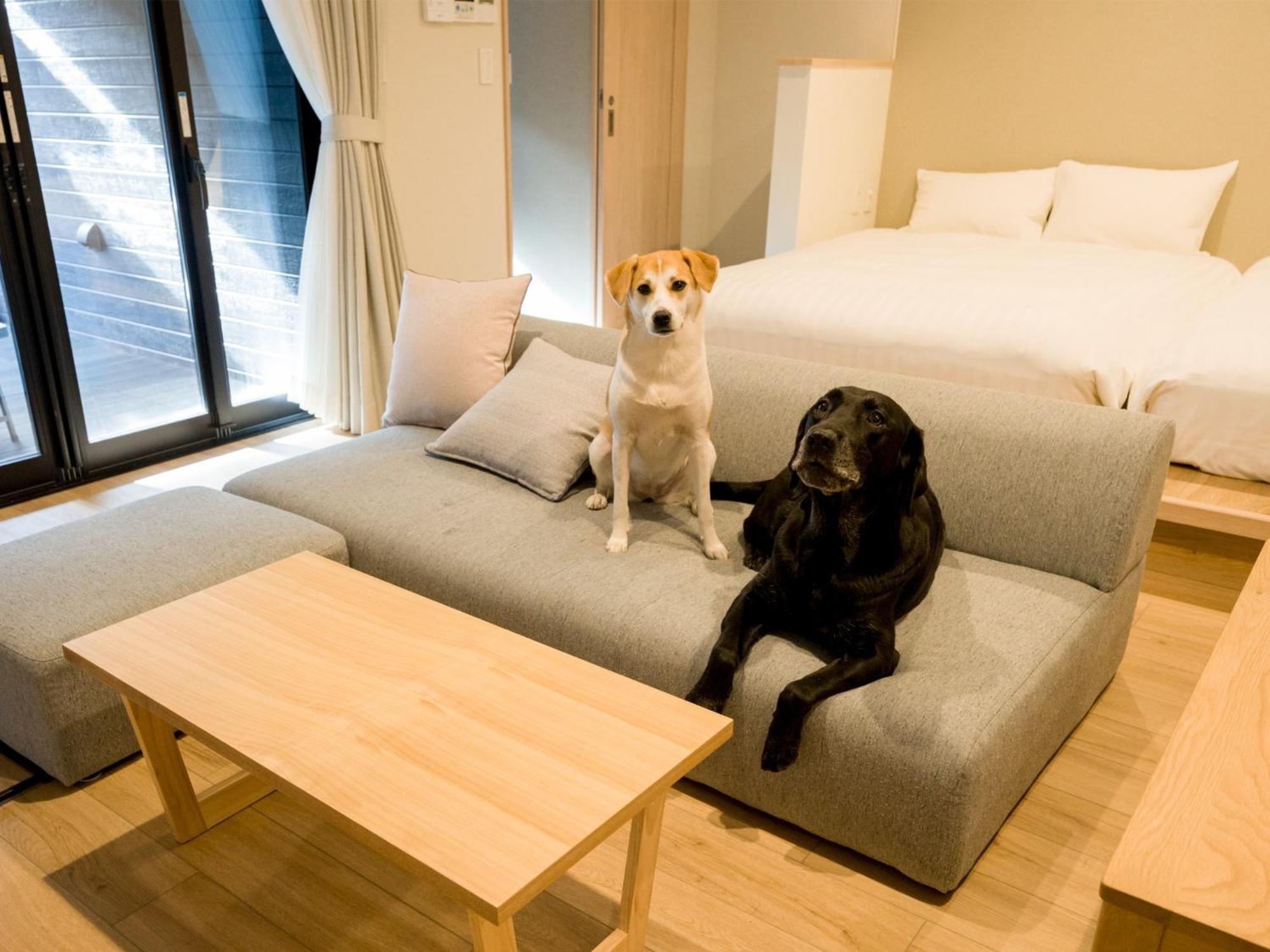Rakuten Stay Nikko Hoden Capacity Of 4 Persons Экстерьер фото